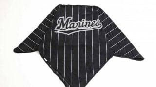 リーグV狙うロッテが「BLACKポンチョ」プレゼント　17日の日本ハム戦で先着8000名に