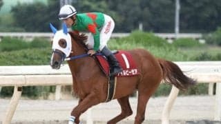 【兵庫若駒賞予想】地元馬同士ならアイルビーゼア、初タイトルへ/NARレース展望