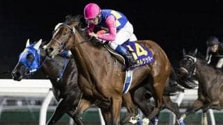 【門別・エーデルワイス賞予想】 2歳馬の完成度が問われる一戦！ JRA勢に相対するのは、地元を知り尽くした角川師が送り込む“刺客”/地方競馬レース展望