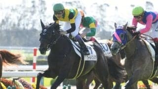 菊花賞馬ワールドプレミアは15日帰厩、ジャパンCへ