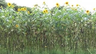 愛用品のお手入れを欠かさない中高年の方々へ 「健康なからだを財産として残す」