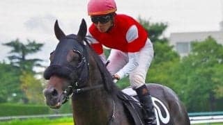 【先週のJRA抹消馬】重賞3着3回のランドネ、ゴールドシップの全弟ゴールドフラッグなど