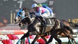 【府中牝馬S】直近1年の複勝回収率155.4％！斎藤誠厩舎×内田博幸騎手のシャドウディーヴァ 