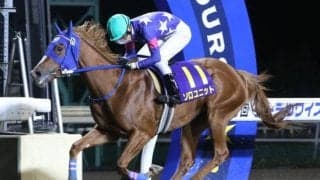 【エーデルワイス賞回顧】スピードの違いで5連勝ソロユニット(斎藤修)