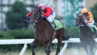 【トルマリンOP】ウインハイラントが抜け出して完勝、復帰2戦目のカツゲキキトキトは3着