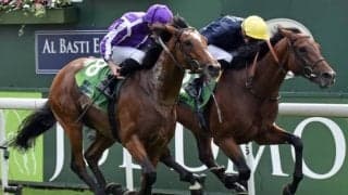 【ジャパンC】アイルランドのジャパンらが予備登録