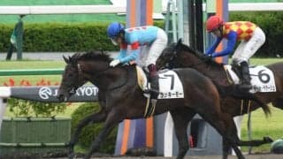 【京都4R新馬戦結果】ラッキーモーが人気に応えて差し切りV