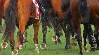 海外競馬であわや大惨事　馬の目前を人が…現地アナ激怒「全くもってふざけた野郎だ」