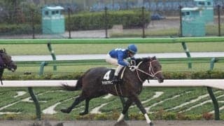 【プラタナス賞】タイセイアゲインがデビュー2連勝