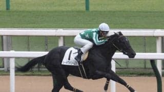 【新馬/東京4R】シーオブドリームスが5馬身差圧勝でデビュー勝ち