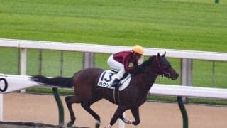 【東京1R】バクシンが10馬身差の大勝！