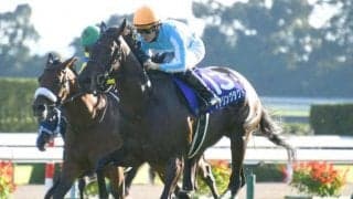 【秋華賞】売上は164億円で昨年から大幅増、デアリングタクトが無敗牝馬三冠
