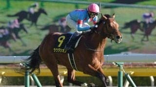 【富士S見どころ】3歳マイル王ラウダシオンら好メンバーが激突