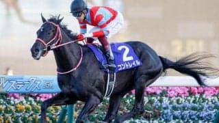 2週連続無敗の三冠馬誕生なるか!? GI菊花賞に注目/今週の競馬界の見どころ