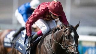 【海外競馬】2000ギニー覇者カメコは年内で引退、種牡馬入り　次走はBCマイルへ