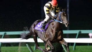 【盛岡・若駒賞結果】断然人気のリュウノシンゲンが4馬身差快勝