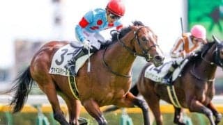 【東京5R新馬戦結果】2番人気ヴァイスメテオールが初陣飾る