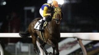 【埼玉新聞栄冠賞】好メンバーが集結！リンゾウチャネルは3枠3番、オールブラッシュは6枠7番