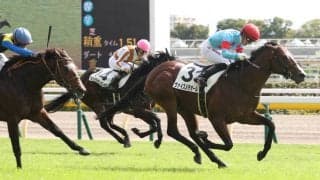 【新馬/東京5R】ヴァイスメテオールがデビューV！サトノクラウン半弟は敗れる