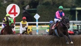 【東京ハイジャンプ】メイショウダッサイが人気に応えて障害重賞2勝目！