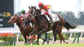 【新馬/京都5R】グロリアムンディが人気に応える！ラスト1ハロンの伸びは秀逸