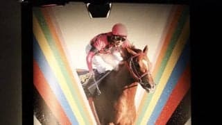 JBC20周年オンラインイベントが開催！今年は大井・門別2場開催