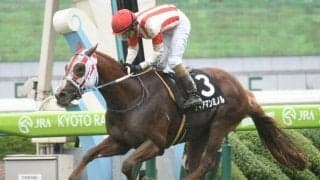【菊花賞展望】牡馬クラシック三冠の最終戦、あの穴馬に注目したい