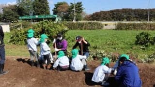 園児24名、水沢競馬場でさつまいもの収穫祭　村上忍騎手「大量で驚いています」