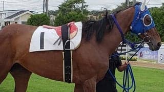【地方競馬】北海道のダンスセイバーが200連敗、日本記録更新中