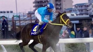 【埼玉新聞栄冠賞予想】世代を超えた実力馬が揃って混戦模様!!/NARレース展望