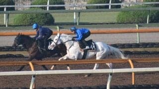 ソダシ、アルテミスS1週前追い切り速報/栗東トレセンニュース