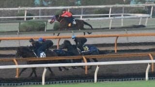 クロノジェネシス、天皇賞秋1週前追い切り速報/栗東トレセンニュース