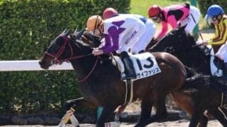 【門別競馬情報】得意の1800mで巻き返すかサイファリス。戦法一新、先行策で古馬編入後初Vかライトロング「ドレフォン・プレミアム」/地方競馬情報