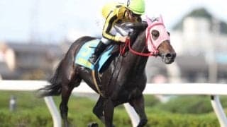 【YJS浦和第1戦】菅原明良騎手が1番人気ニシノマリアージュで勝利！
