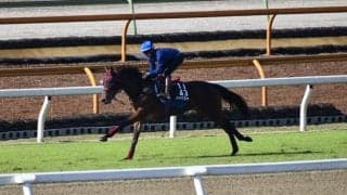 メイケイエール、ファンタジーS2週前追い切り速報/栗東トレセンニュース