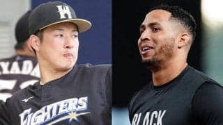 22日の公示　ロッテ・マーティン、阪神・ボーアが抹消　日ハムは吉田輝星を登録