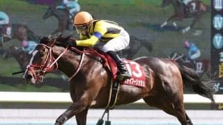 ステイフーリッシュが故障