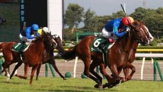 ウーマンズハートが競走馬登録抹消