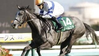 【次走】ノームコアはエリザベス女王杯へ　引き続き横山典弘騎手