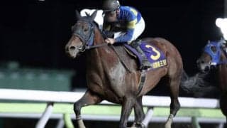 【JBCクラシック】ノンコノユメ・サウンドトゥルー・モジアナフレイバーなど地方所属の選定馬