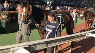 【豪・コックスプレート】愛・A.オブライエン厩舎のマジックワンドが出走取消