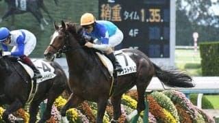【菊花賞予想】 厩舎の底力で打倒コントレイルに挑む！ 厩舎データから弾き出した今週の注目馬は？/JRAレース展望