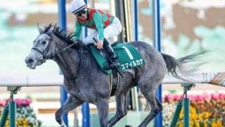 【富士S枠順確定】スマイルカナは6枠7番、サトノアーサーは4枠4番