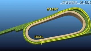 【菊花賞 コース解説】二度の坂超えの長丁場で、確かな末脚が求められるコース