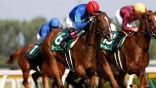 ウーマンズハートが引退、繁殖へ　昨年の新潟2歳S優勝馬