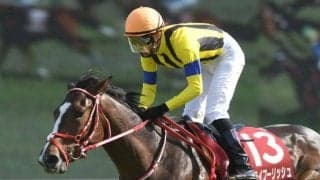 ステイフーリッシュが骨折、3ヶ月以上の休養を要する見込み