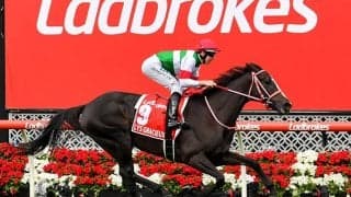 【コックスプレート】豪州の中距離王者決定戦、日本産のディープ産駒フィアースインパクトも出走