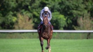 仏重賞勝ち馬 サヴァランが引退、繁殖入り