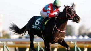 【菊花賞予想】コントレイルの偉業達成に期待　難解なのは“3番手”