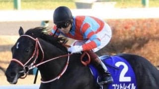【菊花賞予想】コントレイル無敗の三冠馬へ/JRAレース展望